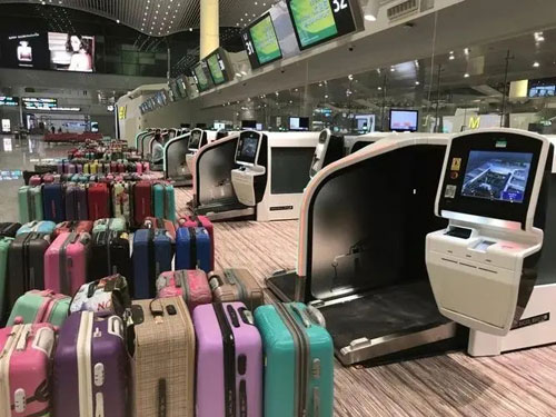 东港行李托运